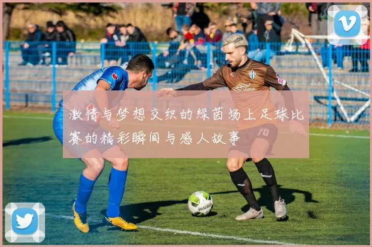 激情与梦想交织的绿茵场上足球比赛的精彩瞬间与感人故事