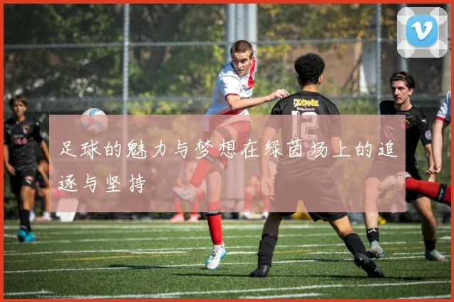 足球的魅力与梦想在绿茵场上的追逐与坚持
