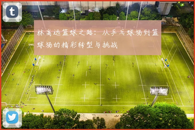 林高远篮球之路：从乒乓球场到篮球场的精彩转型与挑战